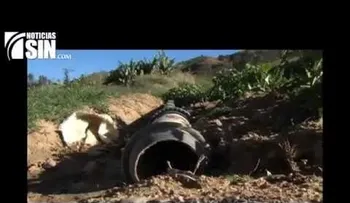¿Qué plan tienen las autoridades para enfrentar los delitos medioambientales en Constanza?