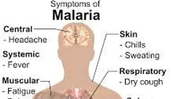 Denuncian brote de malaria en Los Alcarrizos 