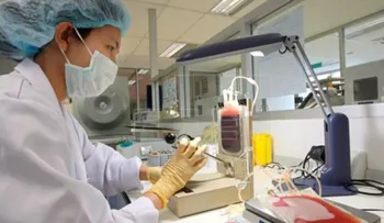 Un tratamiento con células madre podría acabar con la disfunción eréctil