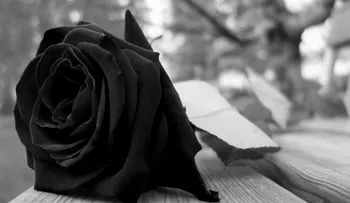 Fallece en Santiago veterano periodista Domingo Bonilla