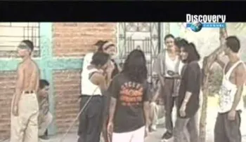 Un "ejército de moscas" tiene de rodillas a El Salvador y ya controla más del 90% de su territorio