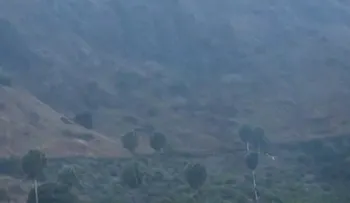 SENPA y Medio Ambiente sofocaron un 100% incendio forestal en Valle Nuevo