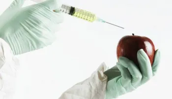 ¿Por qué no deberíamos comer los alimentos que tienen la T de transgénico?