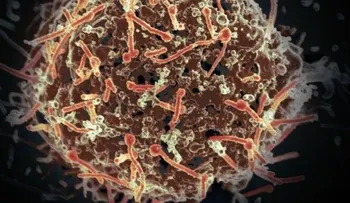 Identifican el 'talón de Aquiles' del virus del ébola