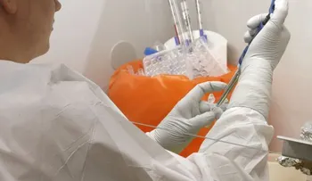 ¿"Trasplantes fecales"? Las heces humanas pueden sanar más que un atibiótico