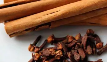 Infusión de clavo de olor y canela para acabar con la diabetes en cinco días