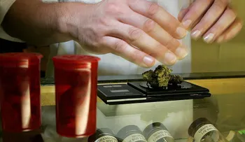 México: el Congreso aprueba el uso medicinal de la marihuana