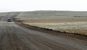 Las lluvias en el desierto de Atacama provocaron consecuencias inesperadas y hermosas