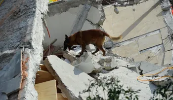¿Qué es lo más buscado en Google sobre el terremoto de México?