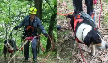 Policías rescatan perro con el uso de drone 