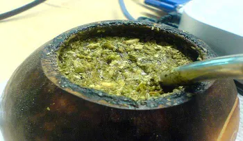 El papa Francisco, Hillary Clinton y otros famosos toman yerba mate para una buena salud 