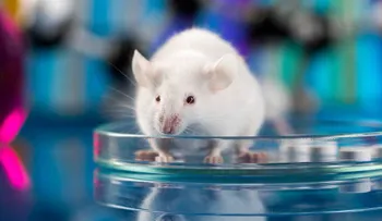 Un tratamiento que genera nuevas neuronas termina con el párkinson en ratones