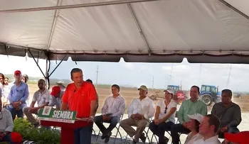 Gobernador de PR valora apoyo JAD en desarrollo finca arrocera en la isla 
