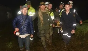 Se roba un balde lleno de láminas de oro a plena luz del día