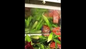  En El Súper, los inspectores encuentran algo más que alimentos (VIDEO)