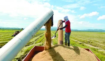 Piantini propone transparentar importaciones de arroz y elevar productividad con la presa del Alto Yuna