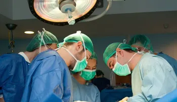 Investigadores de NY descubren como regenerar el corazón