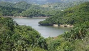 Extraña criatura llena pánico comunidad de Haití; haitianos no quieren salir de sus viviendas