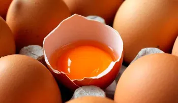 La verdadera realidad del huevo y el colesterol que todos dicen. ¿Real o mentira?