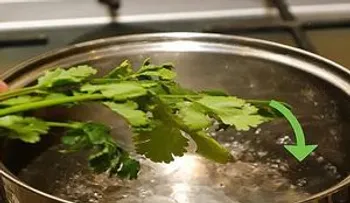 Echo CILANTRO en mi agua, no me enfermo y me ahorro un montón de dinero