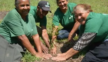 Alfabetizados de Quisqueya Aprende Contigo participan en jornada de reforestación