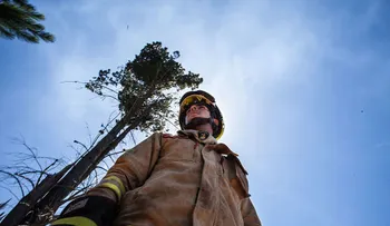 Chile: Alerta roja por incendio forestal en la región de Valparaíso