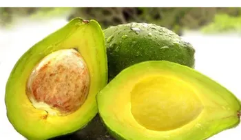 7 beneficios de consumir chocolate, café y aguacate