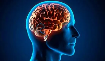  Científicos de EE.UU. crean una molécula asesina que destruye el cerebro 