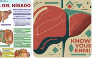 A Treasure for Memory, Blood Pressure, and Liver Health