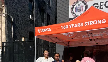 Asambleísta George Álvarez agradece labor de su Oficina Distrital y la ASPCA durante jornada de servicios gratuitos para mascotas en El Bronx