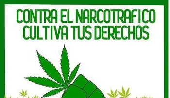 ¿Nueva estrategia narco? Un gato que entrega marihuana