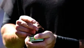 NY decreta prohibición al tabaco masticable en estadios