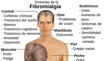 10 Hierbas recomendas para tratar la Fibromialgia