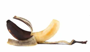 El envejecimiento le traerá estas 5 consecuencias a tu pene