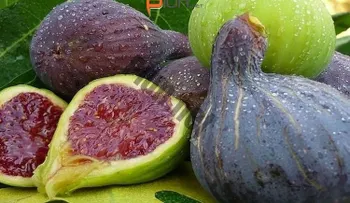 Higos: la solución para la diabetes, colesterol y trigliceridos