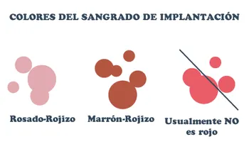 Sangrado de implantación o menstruación: principales consejos