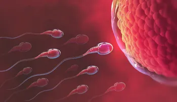 Anota tus días fértiles de tu ciclo menstrual para quedar embarazada