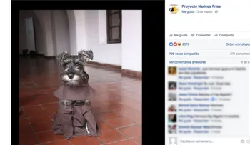 Fray Carmelo; el cachorro boliviano vestido de monje que se volvió una celebridad en internet