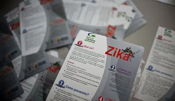 Colombia declara el fin de la epidemia de zika