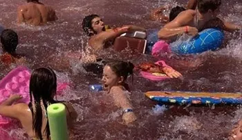 Argentina: 70 heridos por ataque peces tipo piraña