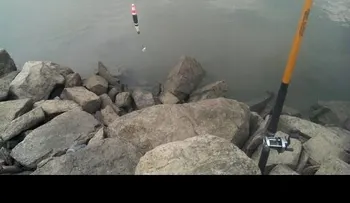 Lo que pescó este hombre no fue precisamente un pez