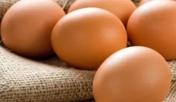 5 súper alimentos quemadores de grasa