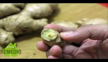 La solución para destruir manchas por edad, lunares, verrugas, espinillas y etiquetas de la piel 