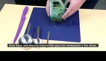 Cómo evitar la picadura de un mosquito con una botella de plástico (VIDEO)