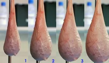 Los secretos de tu orina.¿Por qué es de diferentes colores?