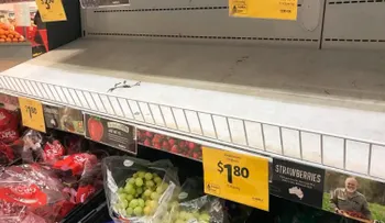 Los australianos se vuelcan a comer fresas tras el susto por las agujas en la fruta