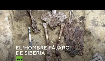 Hallan en Siberia una tumba que tiene los restos de un "hombre pájaro"