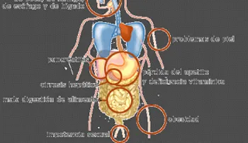 Exceso de alcohol aumenta el riesgo de sufrir Alzheimer y Parkinson