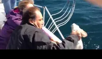 El emocionante rescate de un perro en el mar (VIDEO)