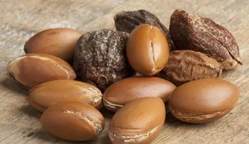 Los beneficios del aceite de argán